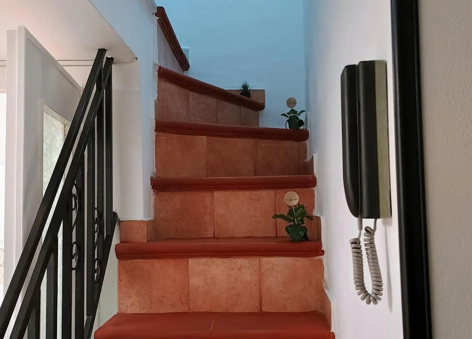 Casa Centro Storico O Capu Apartment Palermo